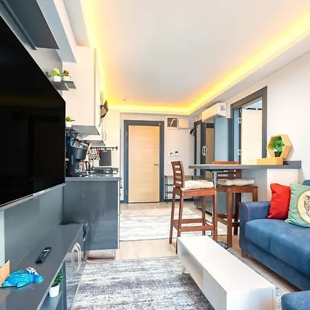 Lovely And Central Flat Near Ciragan Palace In Yildiz Besiktas Apartment