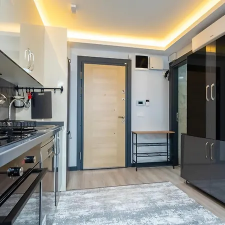 Apartment Lovely And Central Flat Near Ciragan Palace In Yildiz Besiktas Istanbul