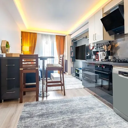 Lovely And Central Flat Near Ciragan Palace In Yildiz Besiktas *