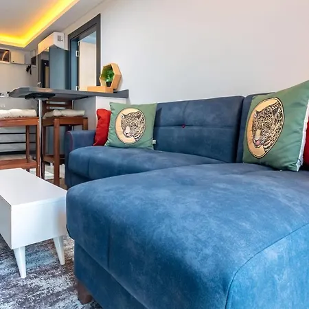 Apartment Lovely And Central Flat Near Ciragan Palace In Yildiz Besiktas Istanbul